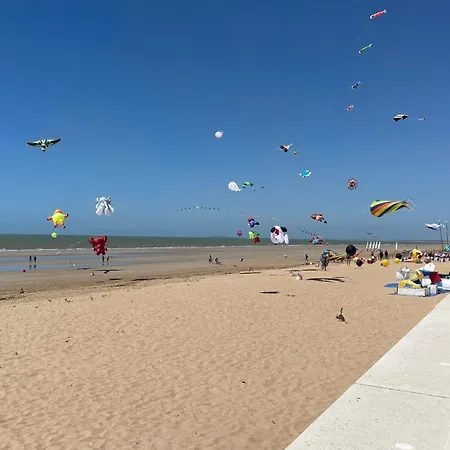 Palmeraie - Piscine Privee Et Boulodrome 别墅