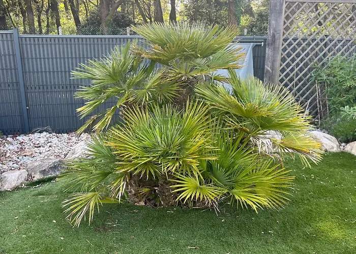 Palmeraie - Piscine Privee Et Boulodrome 别墅