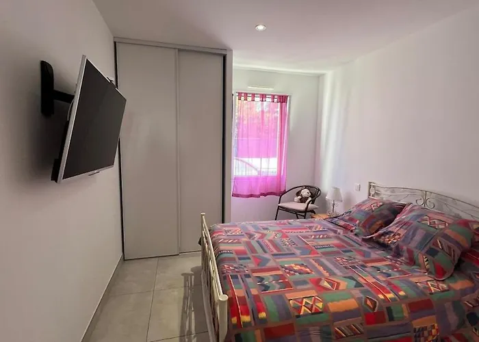 Palmeraie - Piscine Privee Et Boulodrome * 圣让-德蒙