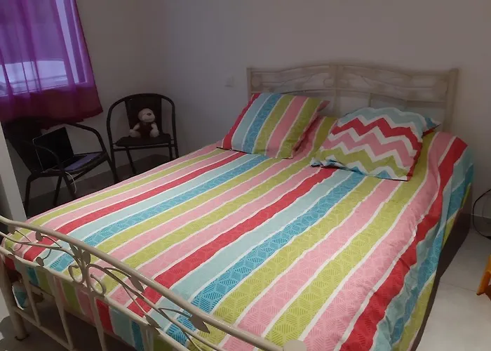 别墅 Palmeraie - Piscine Privee Et Boulodrome