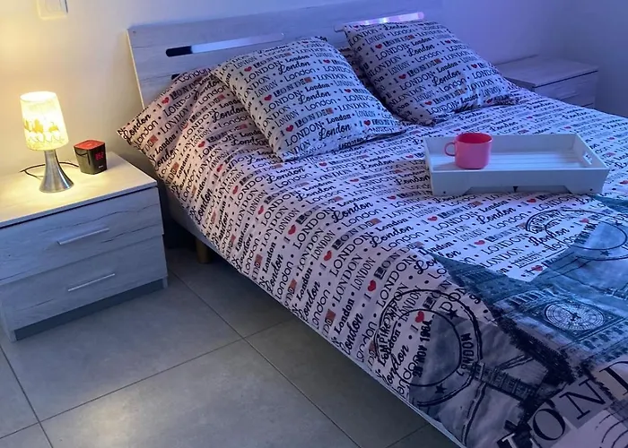 Palmeraie - Piscine Privee Et Boulodrome * 圣让-德蒙